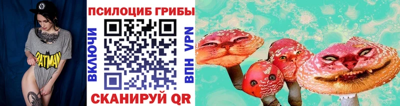 купить закладку  Новопавловск  Галлюциногенные грибы GOLDEN TEACHER 