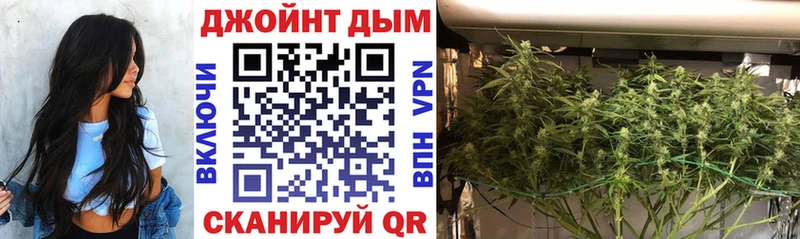 Бошки марихуана сатива  Новопавловск 